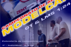 2008_Modelcar_GT-LMS(III)